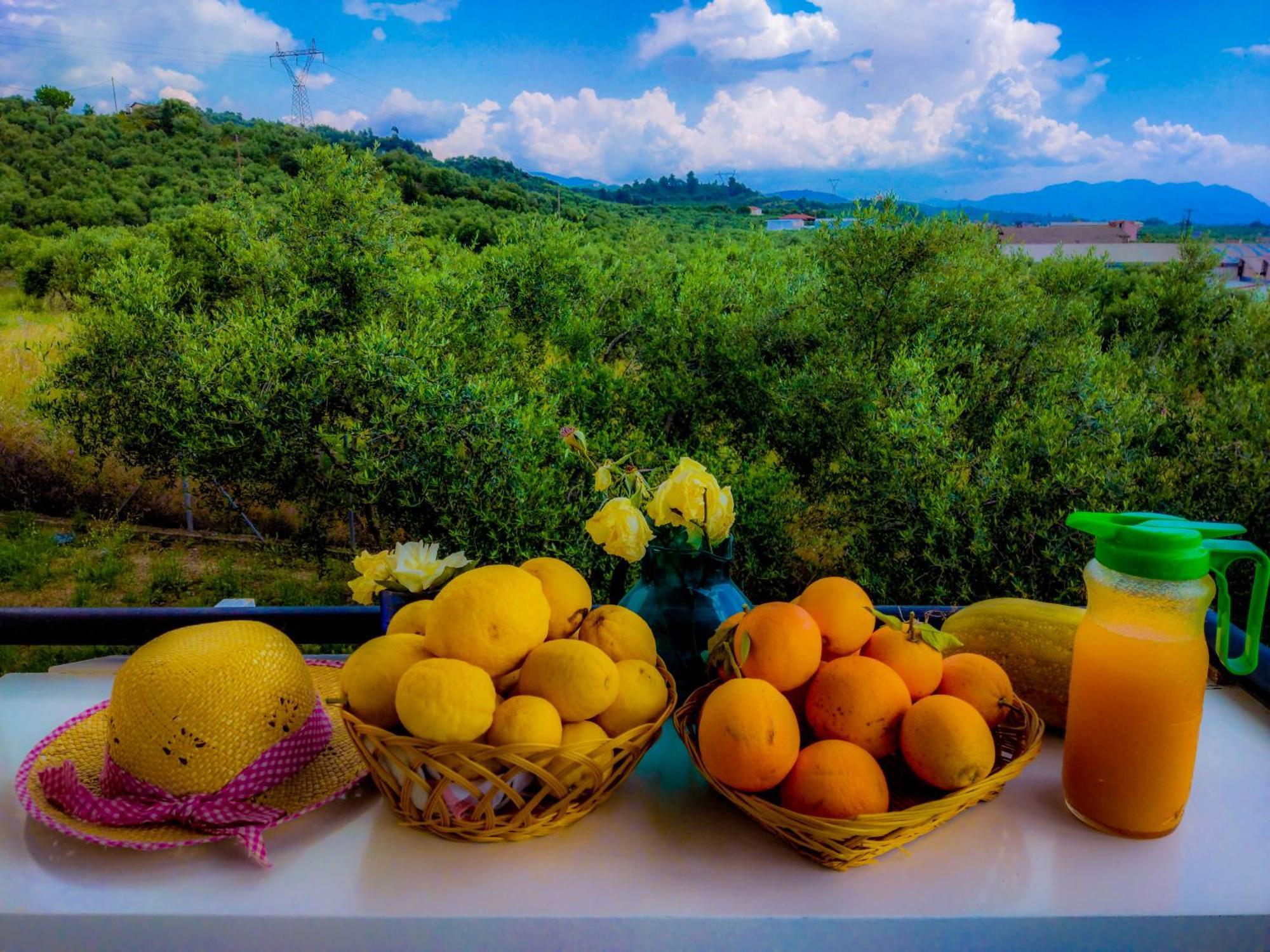 Your Spot West Peloponnese Shared Countryhouse Захаро Екстериор снимка