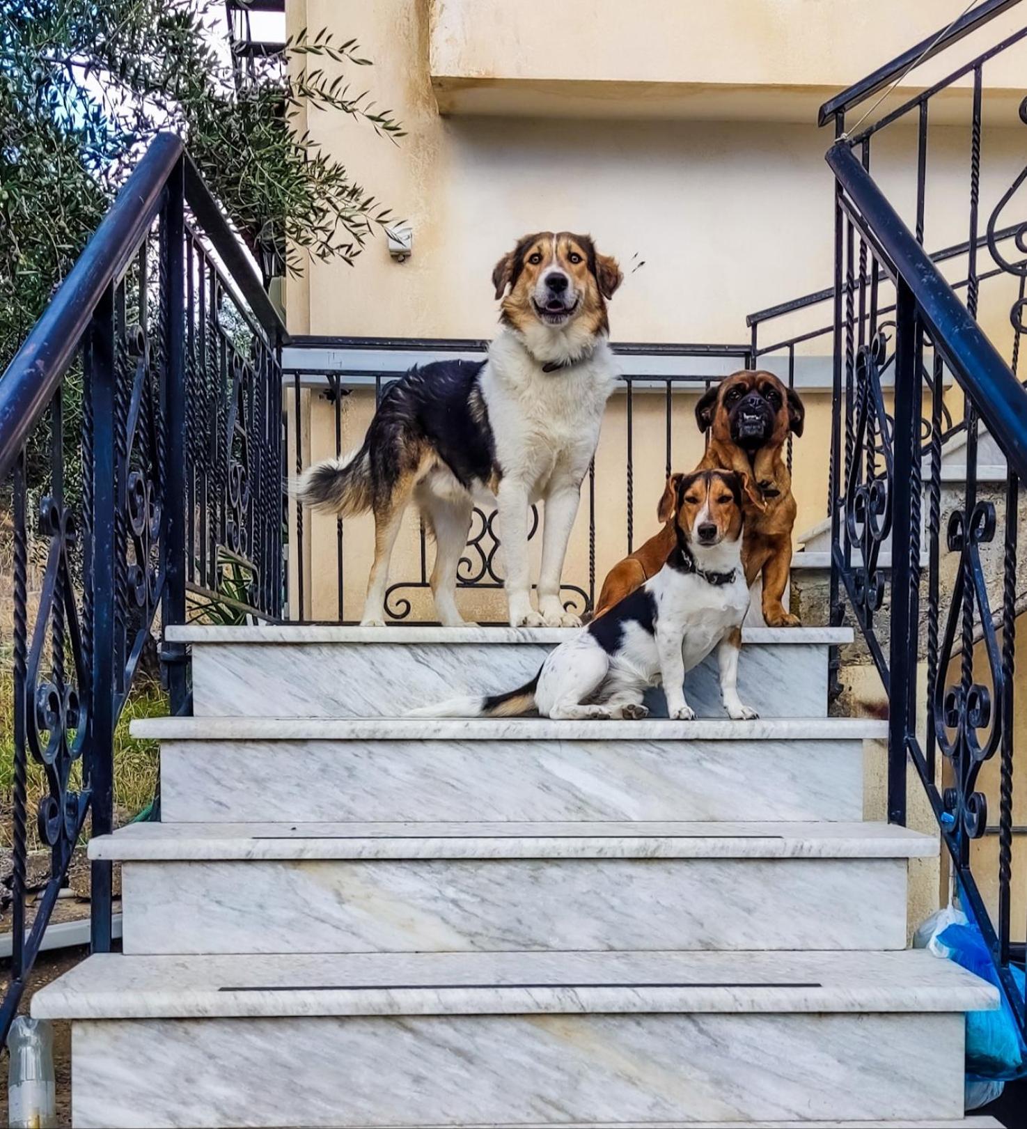 Your Spot West Peloponnese Shared Countryhouse Захаро Екстериор снимка